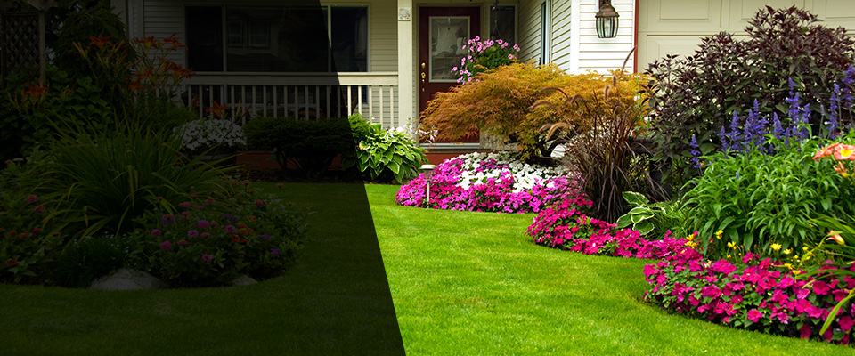 Seguin Landscapers